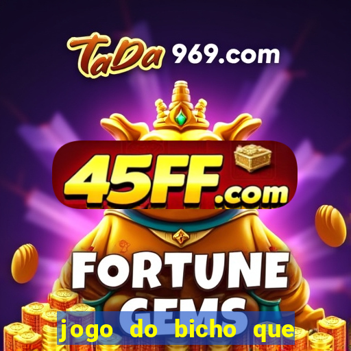jogo do bicho que paga no pix